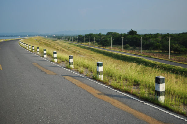 柏油路和森林图片下载