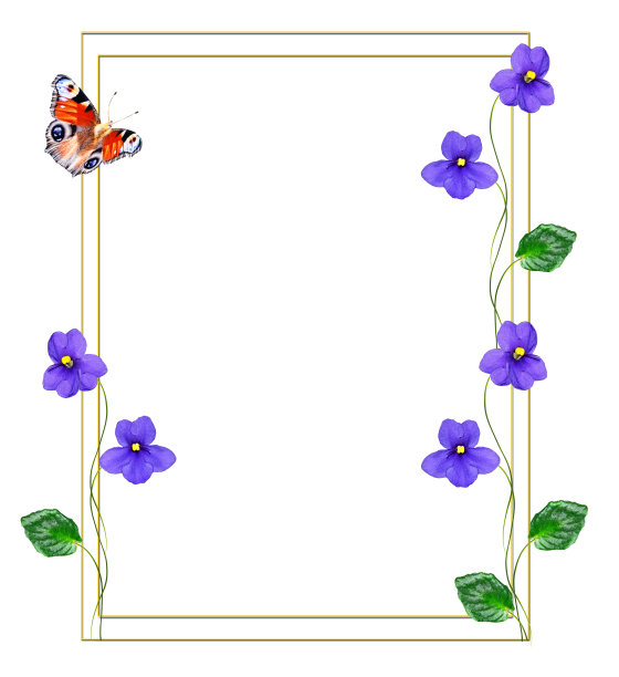 春天花紫罗兰图片下载