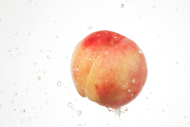 水花桃图片下载