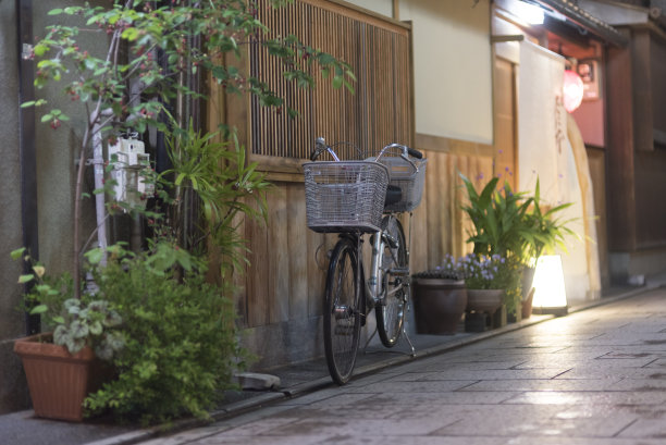 带有自然光的老式自行车形象图片下载