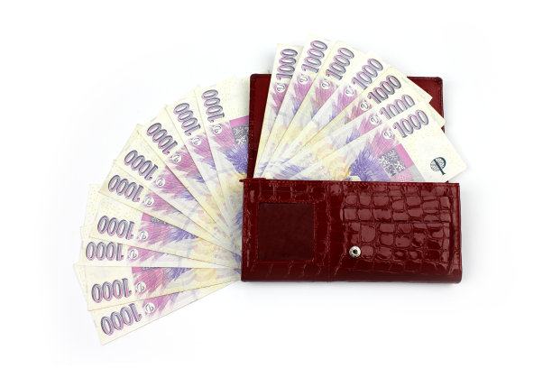 红钱包里的捷克币-千图片下载