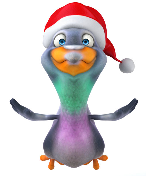 有趣的鸽子图片下载