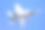 战斗机照片素材ID：154532722