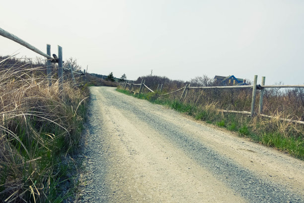 埋下了伏笔。图片下载