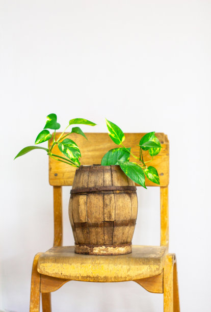 创意现代简约复古的室内空间设计与旧的复古木制学校椅图片下载