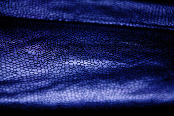 蓝色皮肤的动物异形恐龙爬行怪物图案表面皮革图片下载