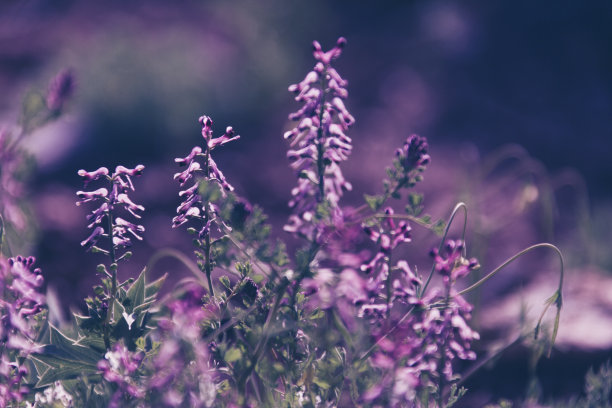 在大自然中休息图片下载