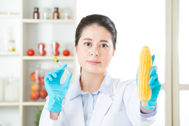 你可以在这种转基因玉米中找到线索图片下载