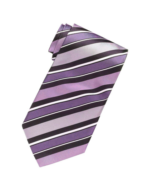 Tie孤立在白色上图片下载