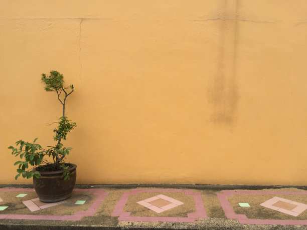 黄色背景墙图片下载