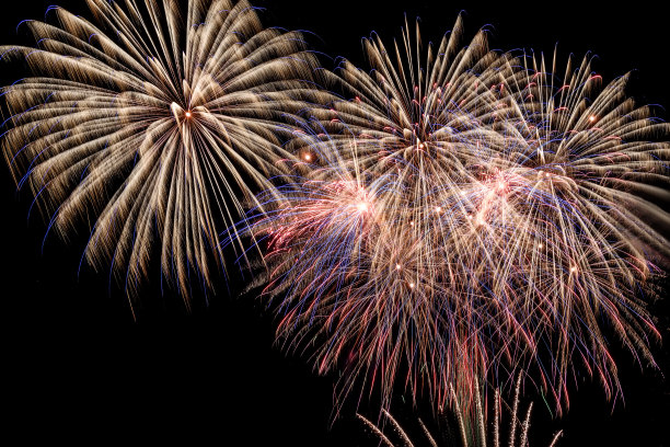 鞭炮花图片素材ID：154550914