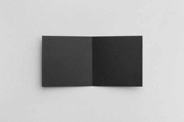 黑色方形双折宣传册模型图片下载