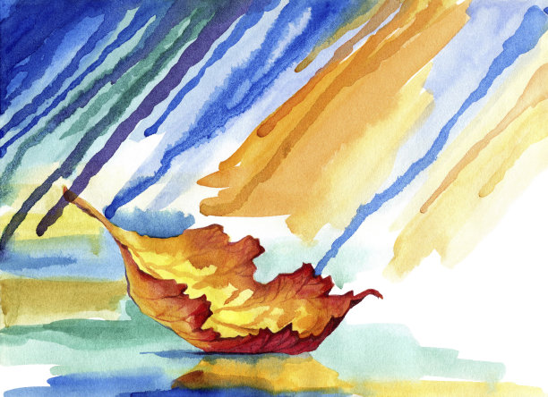 雨中漂浮的秋叶图片下载