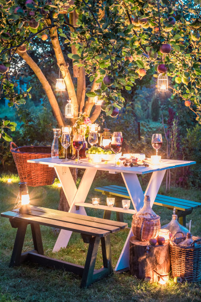 华丽的桌子满是葡萄酒和水果在花园里图片下载