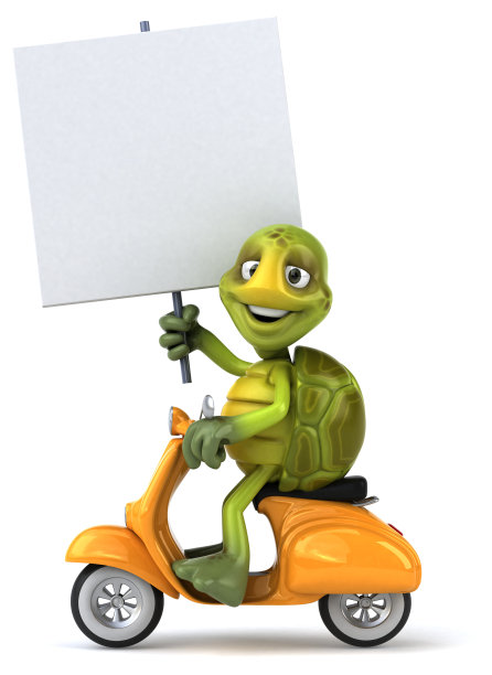 有趣的海龟图片下载