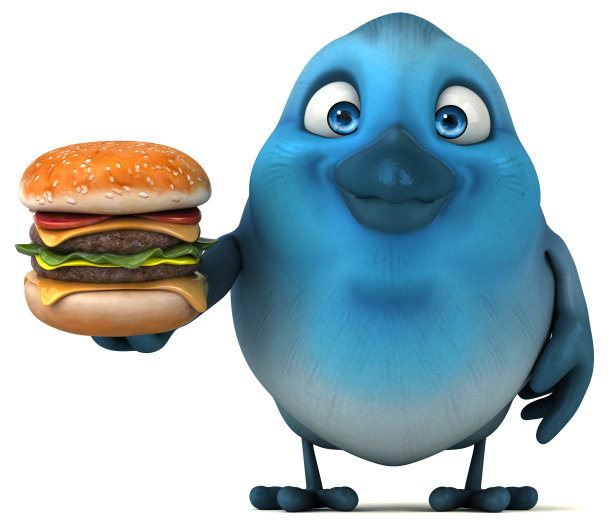 蓝色的鸟图片下载