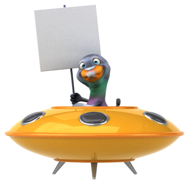 有趣的鸽子图片下载