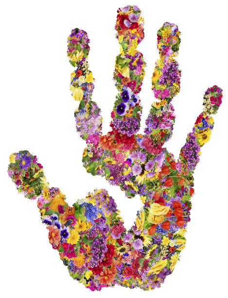 夏日之手概念——来自夏日鲜花的人手。抽象的孤立的拼贴图片下载