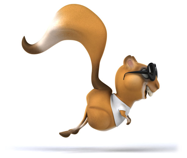 穿着白色t恤的松鼠图片下载