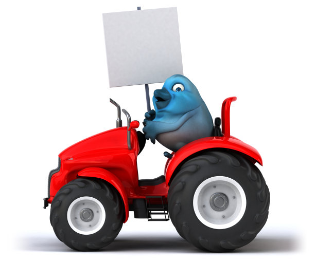 蓝色的鸟图片下载