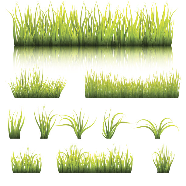 一套绿草的元素图片下载
