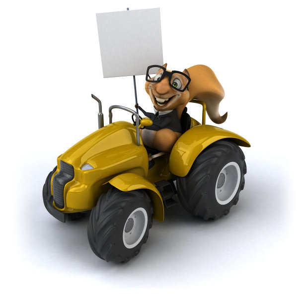 有趣的松鼠图片下载