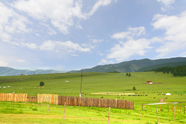 蒙古乌兰巴托Gorkhi-Terelj国家公园的蒙古包营地图片下载