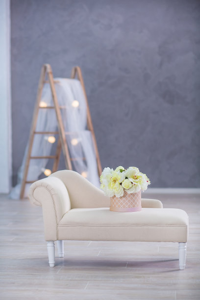 室内模拟照片。蓝色的墙壁，皮革材质的沙发，花盆和植物花和梯子。背景照片与文本复制空间。图片下载