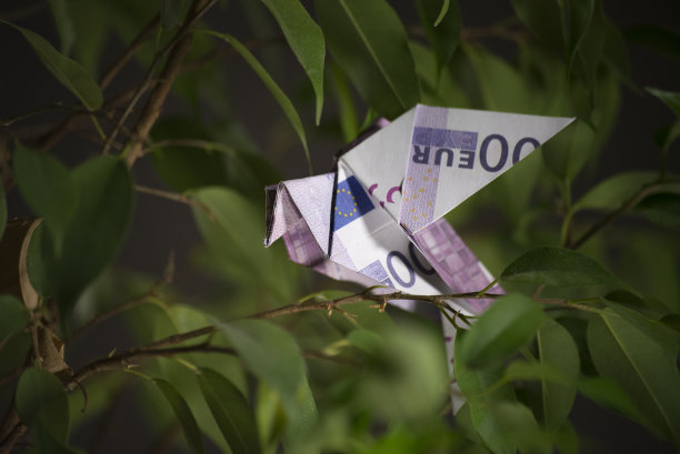 纸钞上的折纸鸟图片下载