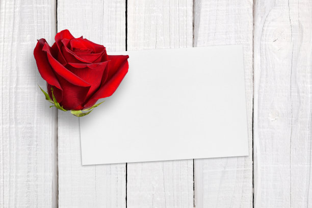 贺卡和红玫瑰图片下载