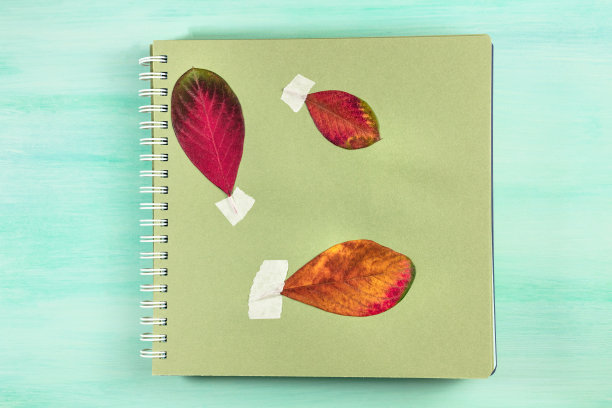 红叶笔记本在蓝绿色的背景与copyspace图片下载