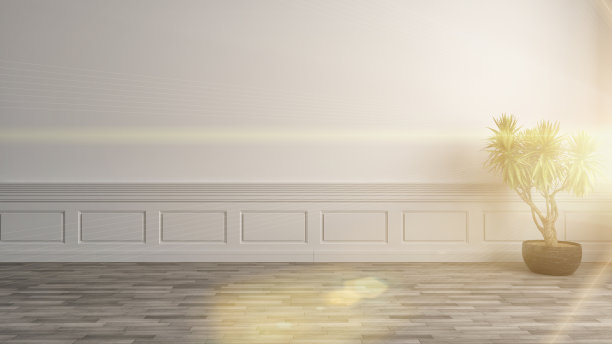 室内植物。三维演示图片下载