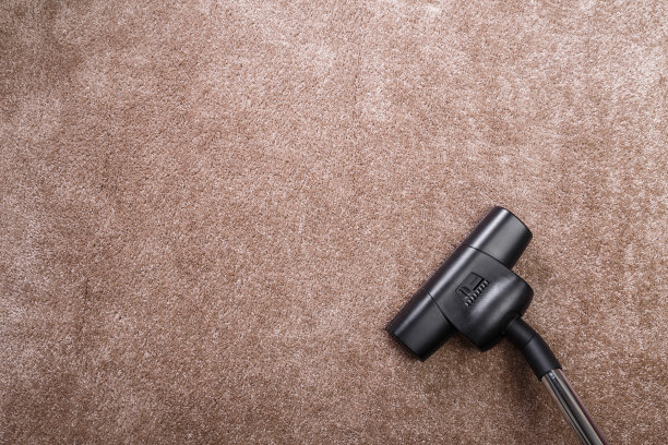 用吸尘器吸地毯。做家务。图片下载