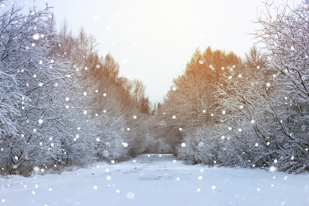 大雪节气图片素材ID：154613218