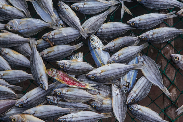 对于干燥图片下载