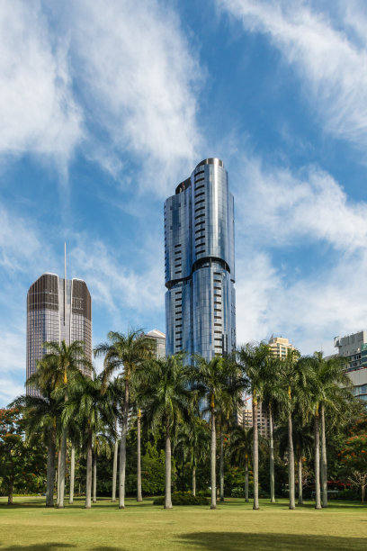 布里斯班中央商务区的棕榈树和摩天大楼图片下载