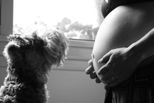 莫特胡德·马特尼达图片下载