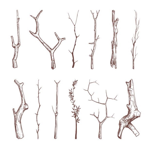 手绘木枝、木棒、树枝矢量质朴装饰元素图片下载