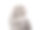 口吻的一个美丽的灰色猫品种苏格兰折看向一边。图片下载