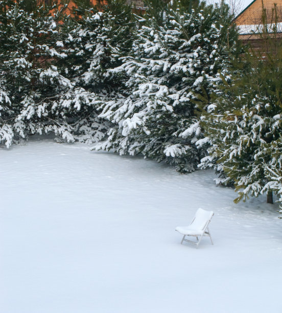 寒冷的冬天。松树上覆盖着白雪。寒冷——零下25摄氏度。图片下载