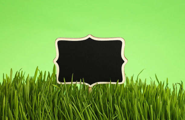 黑色的黑板在草地上的绿色图片下载