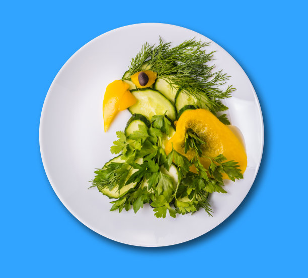 艺术食物，鹦鹉从蔬菜图片下载