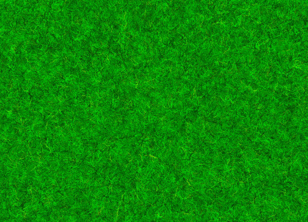 草甸苍翠草质图片下载