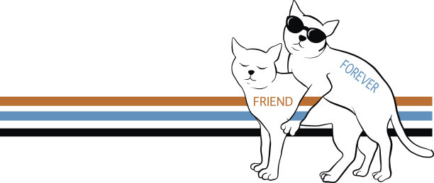 猫,t恤设计图片下载