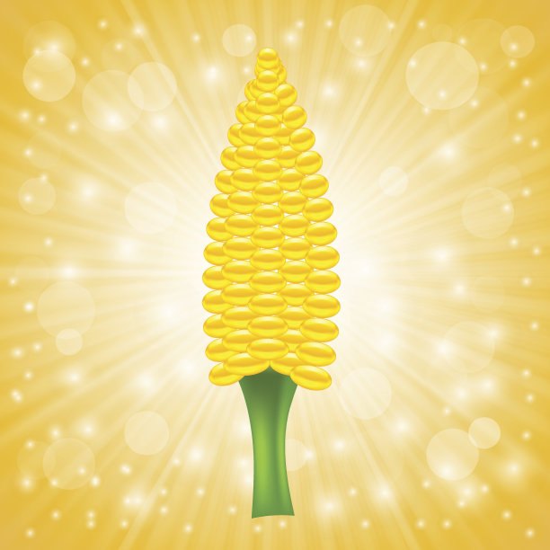 新鲜玉米棒图片下载