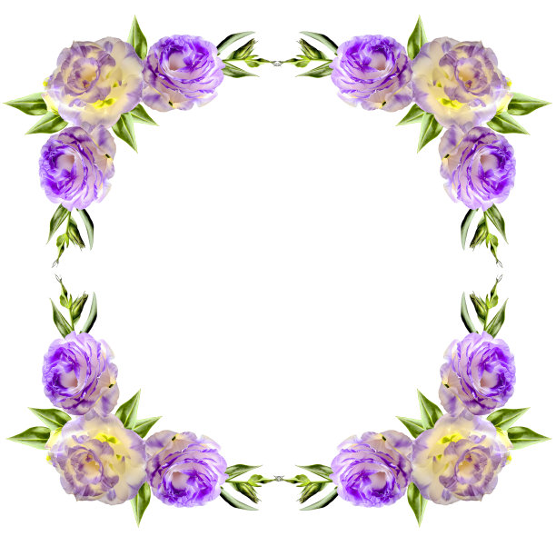 复古的花框架从角落与紫色的口气孔花图片下载