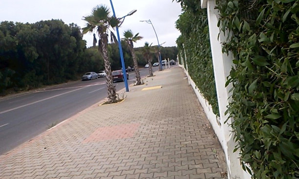 foret旱谷merzeg图片下载