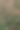 清晨的阳光下，公园里盛开着许多粉红色的郁金香图片下载