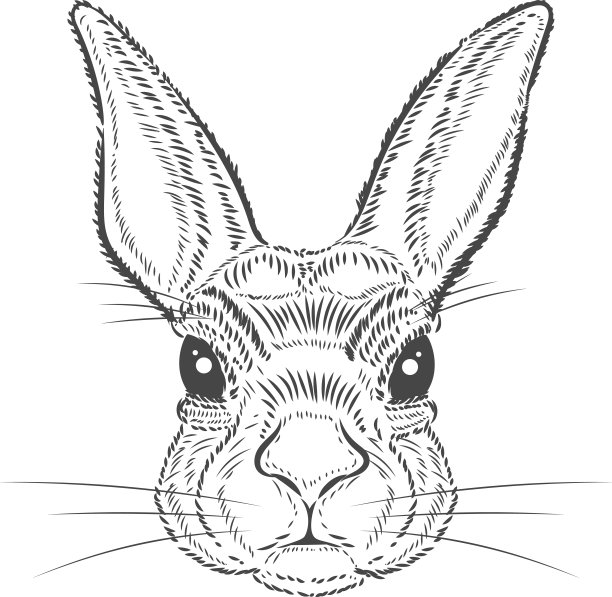 复古图形兔子矢量打印图片下载