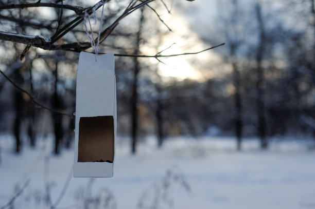 冬天喂鸟器图片下载